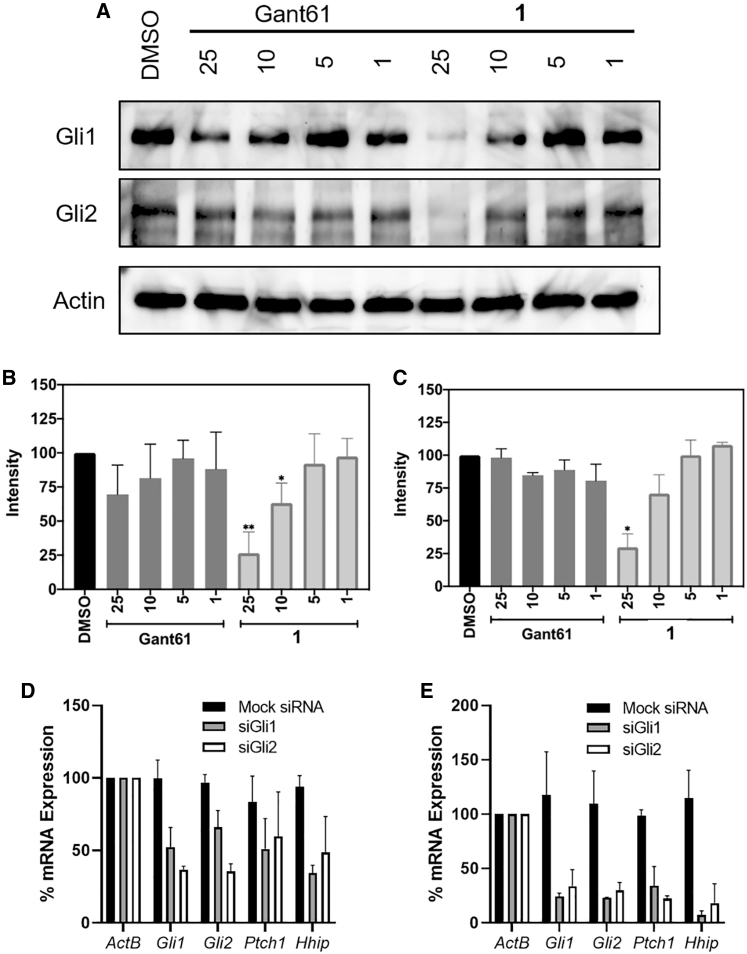 Figure 6