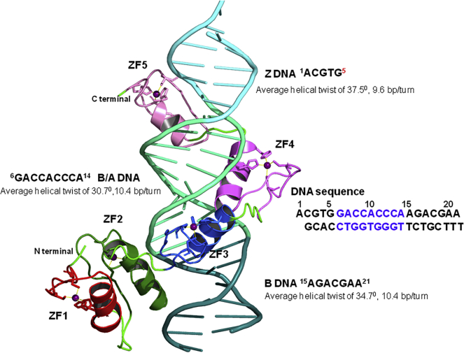 Figure 2