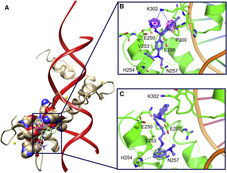 Figure 3