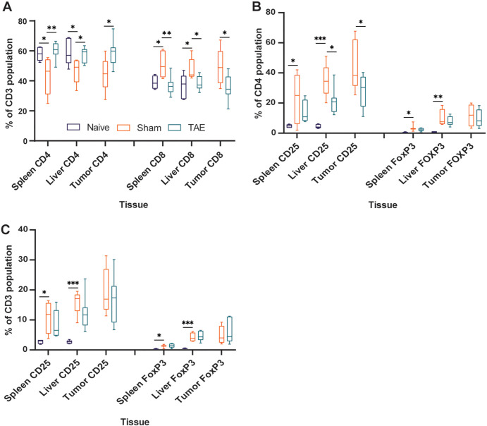 Cirrhosis and transarterial embolization (TAE) modulate lymphocyte populations. Box and whisker plots show (A) the percentage of CD4+ and CD8+ cells as a proportion of the CD3+ population in spleen, liver, and tumor specimens from healthy diethylnitrosamine-naive rats that underwent sham embolization (naive, n = 5), cirrhotic diethylnitrosamine-treated rats that underwent sham embolization (sham, n = 5), and cirrhotic diethylnitrosamine-treated rats that underwent embolization with tris-acryl gelatin microspheres (TAE group, n = 8); (B) the percentage of CD25+ and FOXP3+ cells as a proportion of the CD4+ population; and (C) the percentage of CD25+ and FOXP3+ cells as a proportion of the CD3+ population. Whiskers indicate maximum and minimum values. Boxes extend from the 25th to 75th percentiles. The line in the middle of the box is plotted at the median. * = P < .05, ** = P < .01, and *** = P < .001 according to the t test. Significant P values (left to right): in A, .04, .006, .049, .01, .02, .03, .005, .047, .02, .03; in B, .04, <.001, .03, .04, .049, <.01; and in C, .048, <.001, .03, .001.