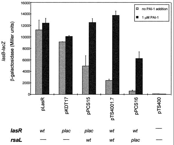 FIG. 6