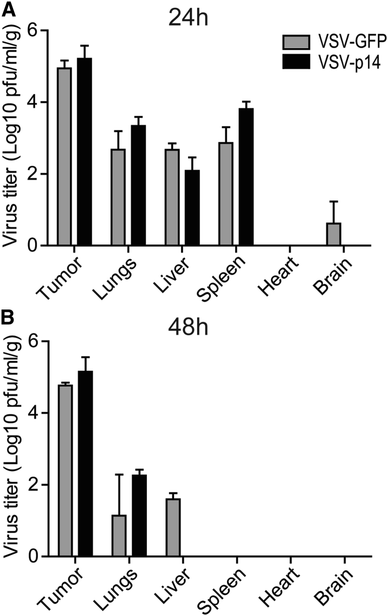 Figure 4