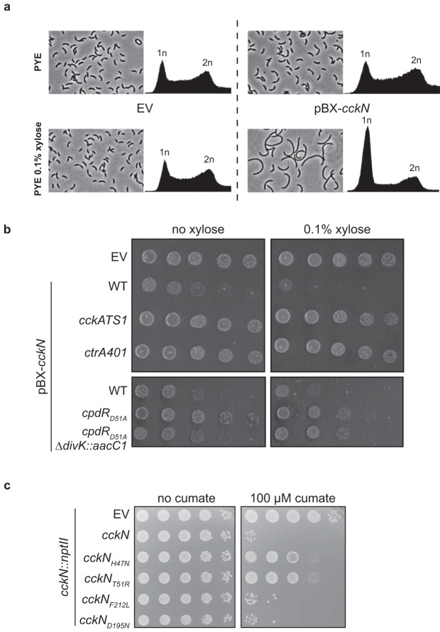 FIG 4