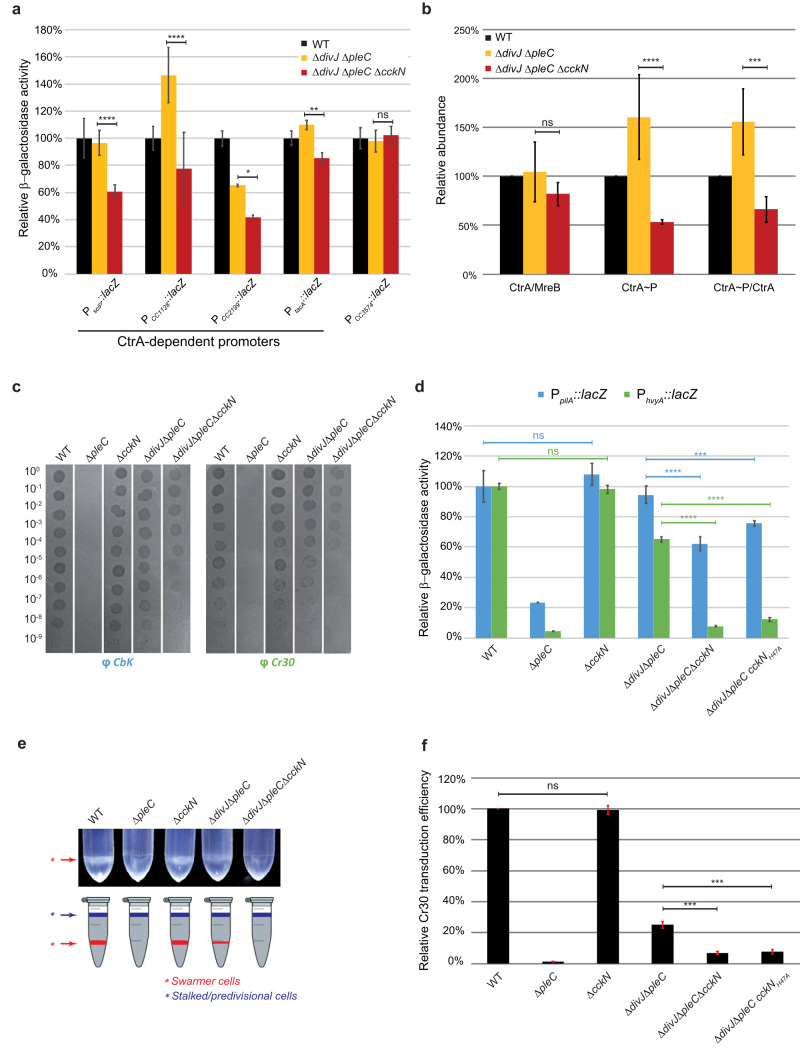 FIG 3