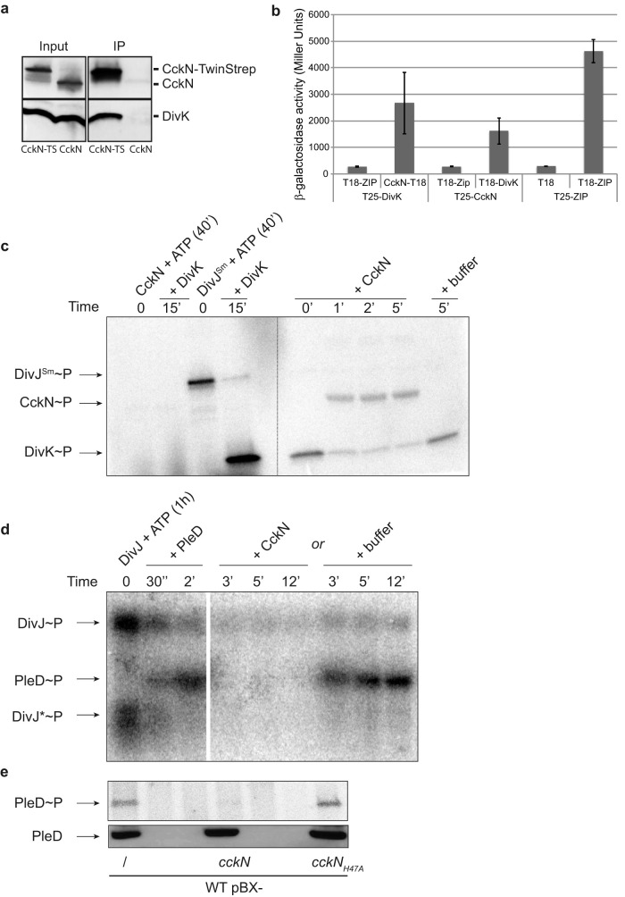 FIG 2