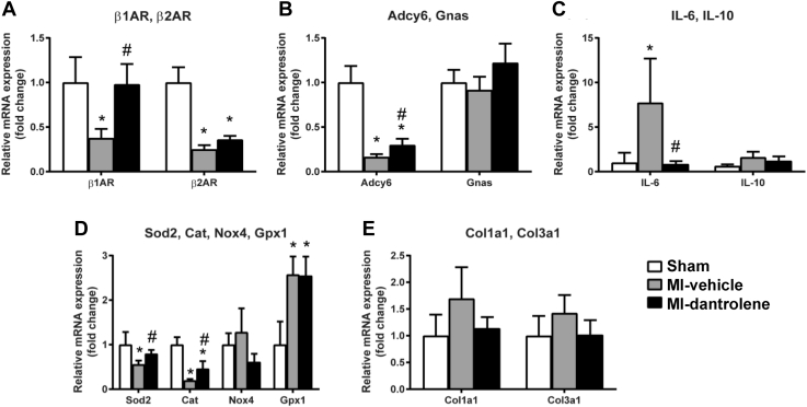 Figure 7