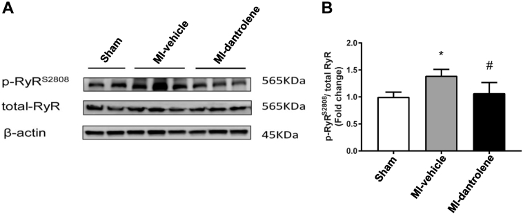 Figure 5