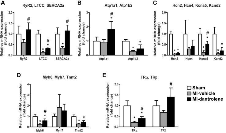 Figure 6