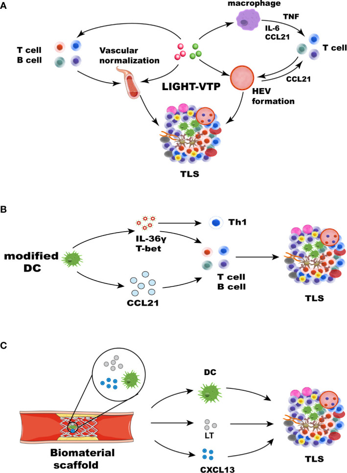 Figure 3