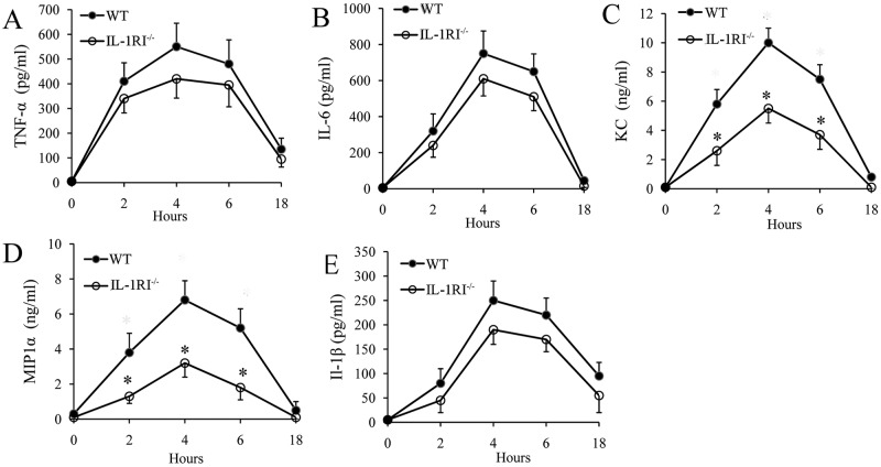 FIG 4 