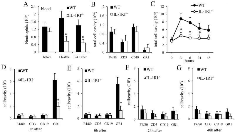 FIG 6 