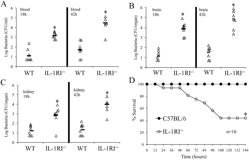 FIG 2 