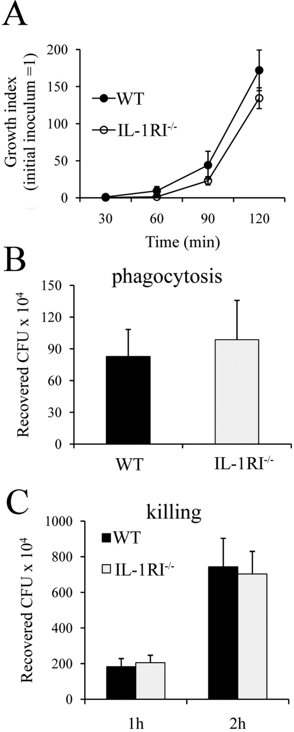 FIG 3 