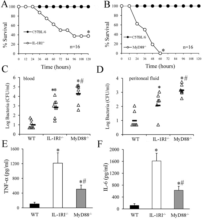 FIG 1 