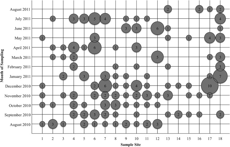 FIG 1