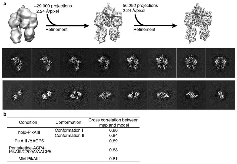 Extended Data Figure 3