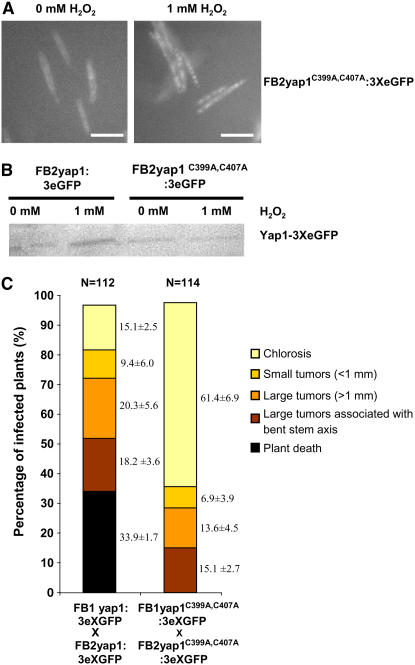 Figure 7.