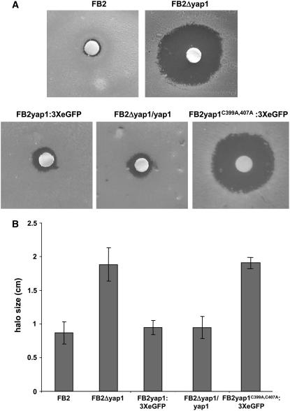 Figure 3.