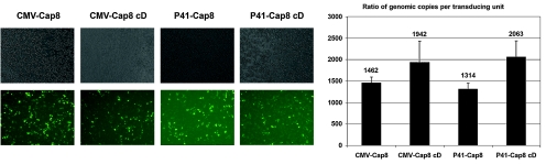 FIG. 4.