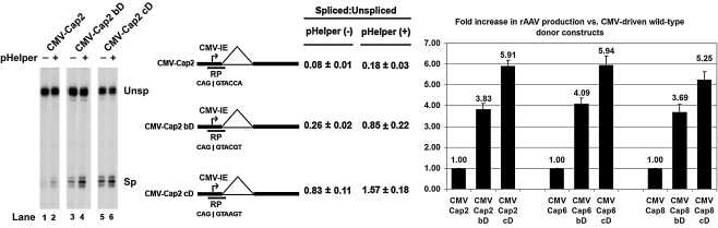 FIG. 2.