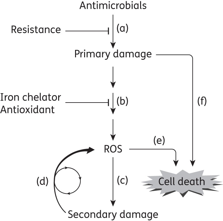 Figure 1.