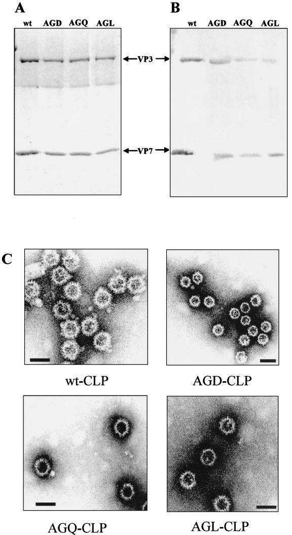 FIG. 3