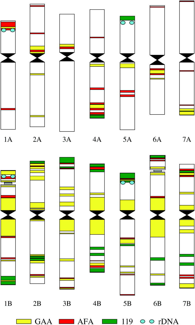 Figure 3.—