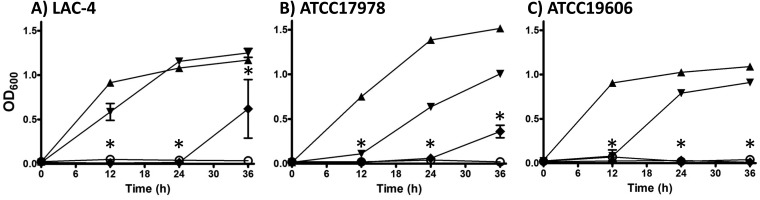 FIG 1