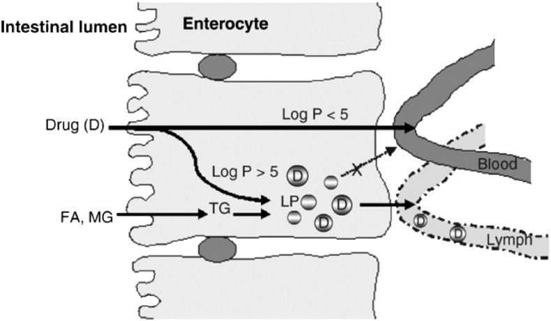 Fig. 1