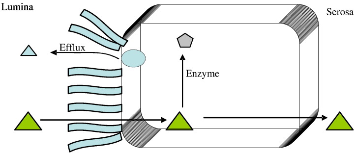 Fig. 4