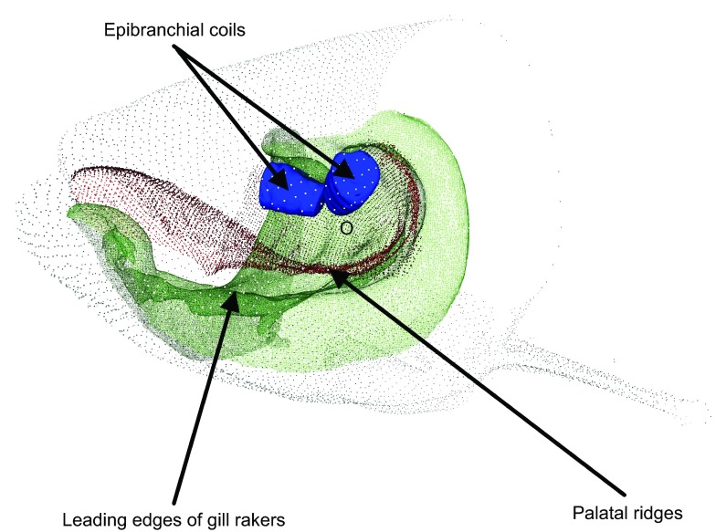 Fig. 8.