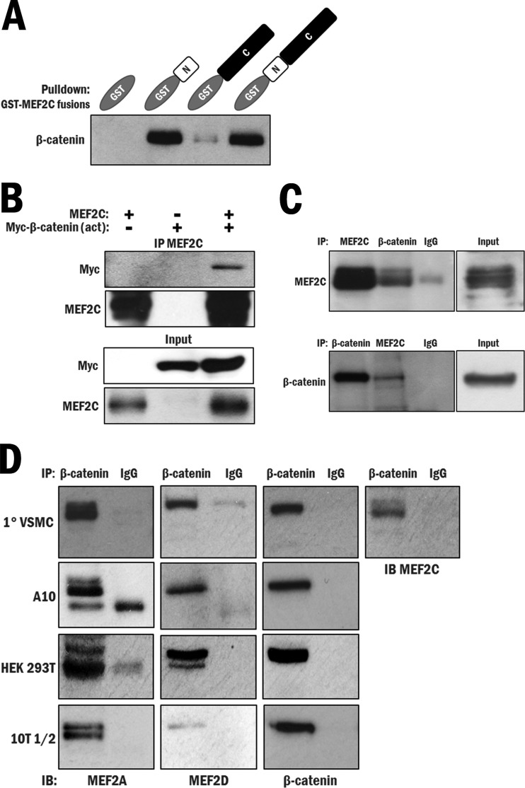 FIG 2