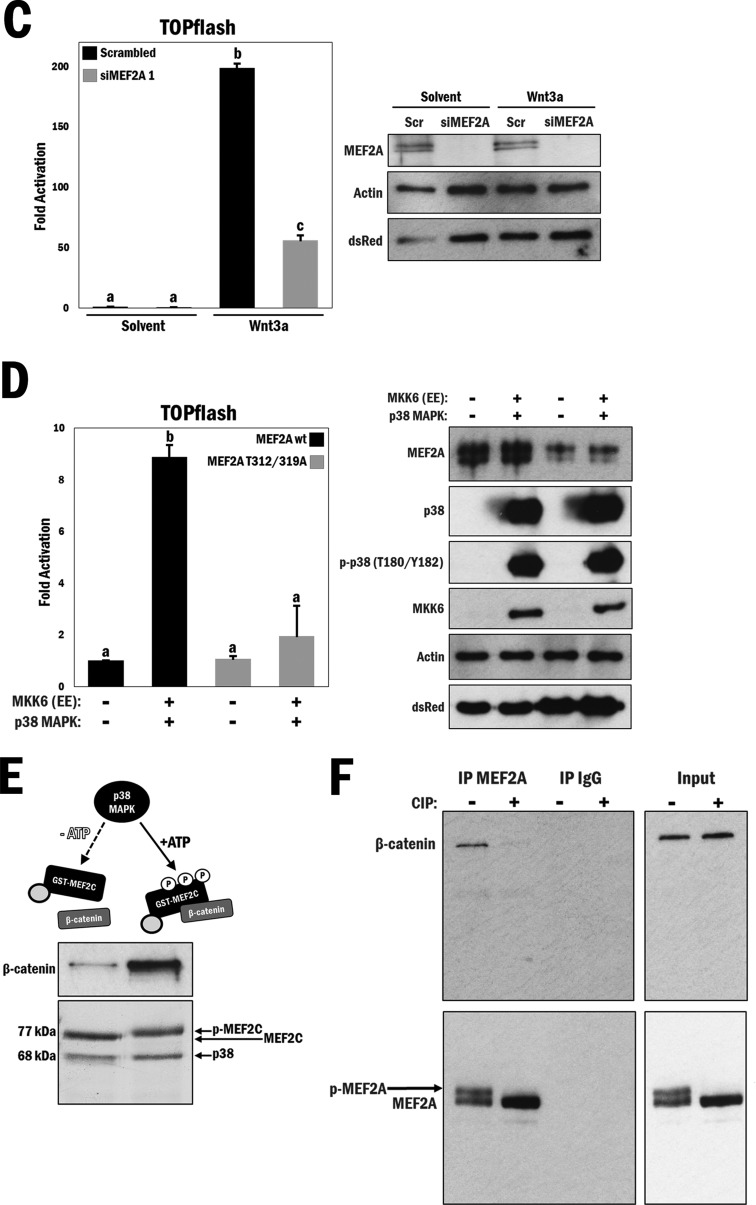 FIG 3