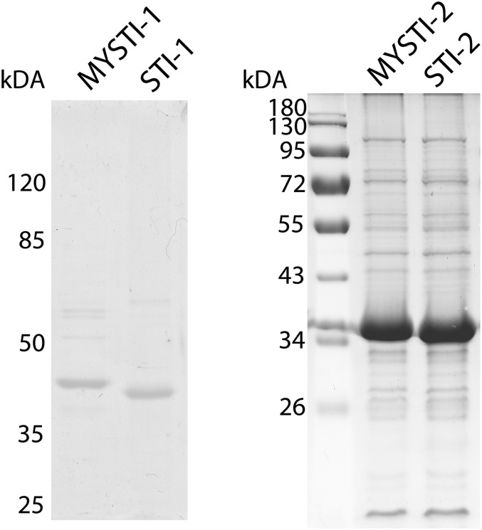 Fig. S3.