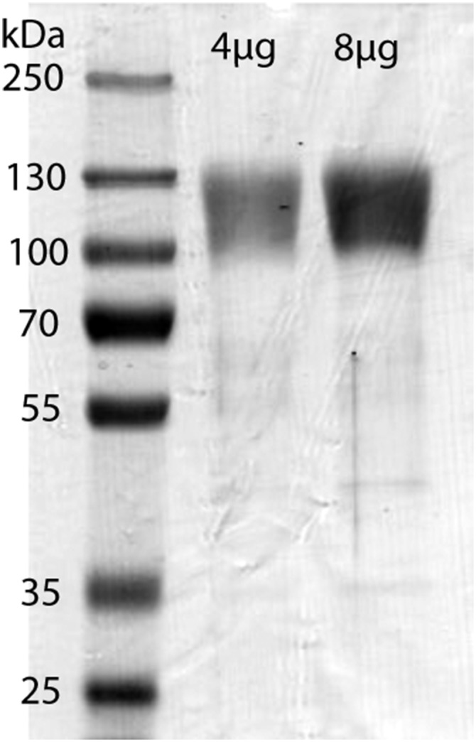 Fig. S1.