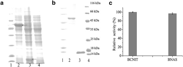 Fig. 2