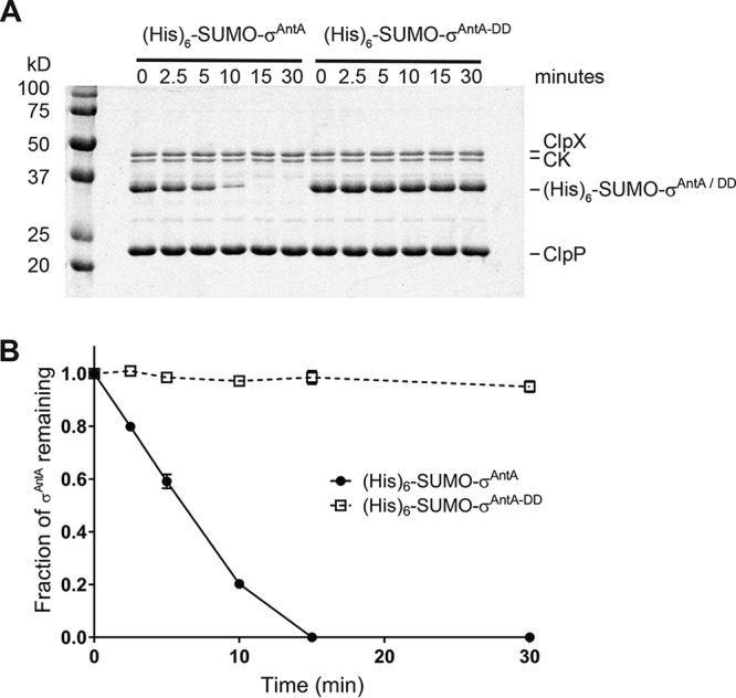 FIG 3