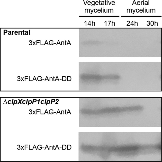 FIG 4