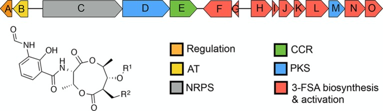FIG 1