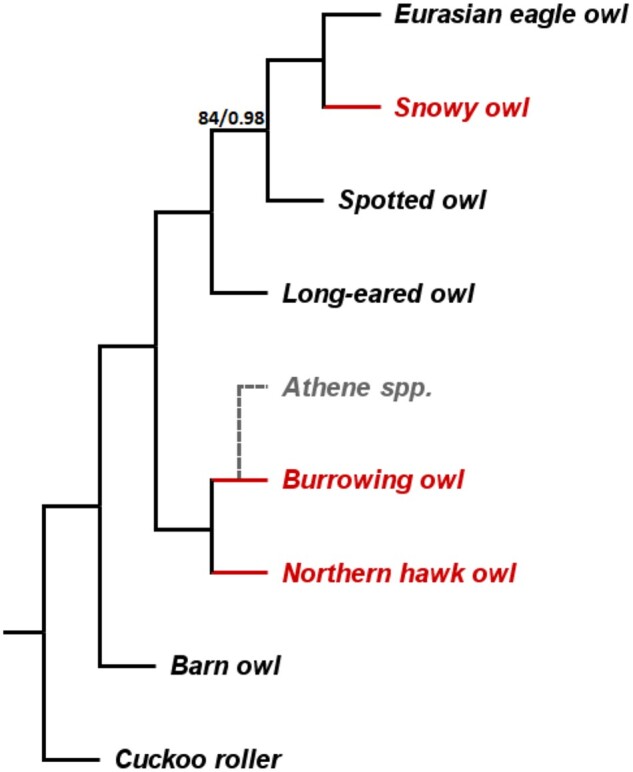 Fig. 1.