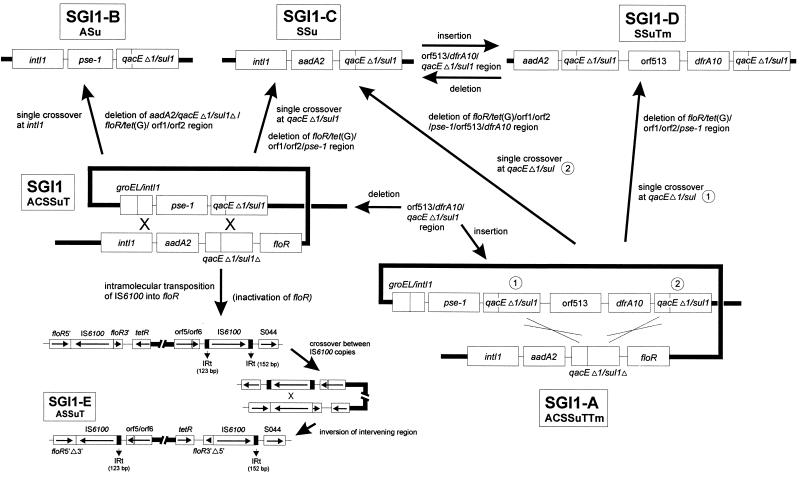 FIG. 3.