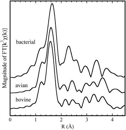 FIGURE 3