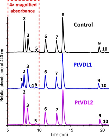 Fig. 2