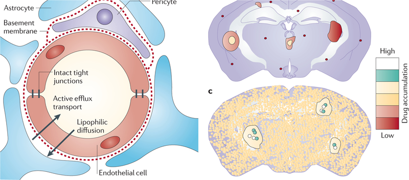 Figure 2|