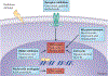 Figure 3|