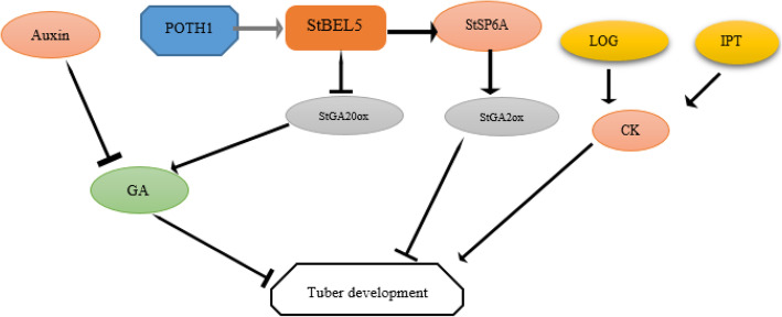 Fig. 4