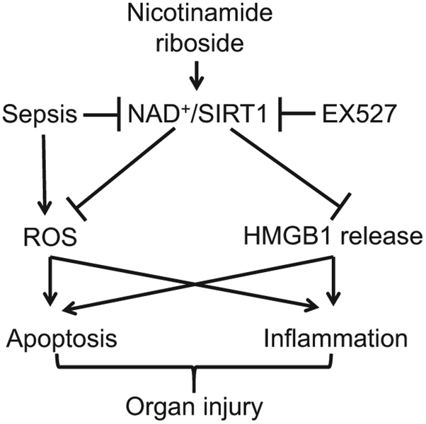 Fig. 9.