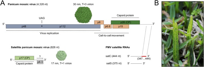 FIG 1