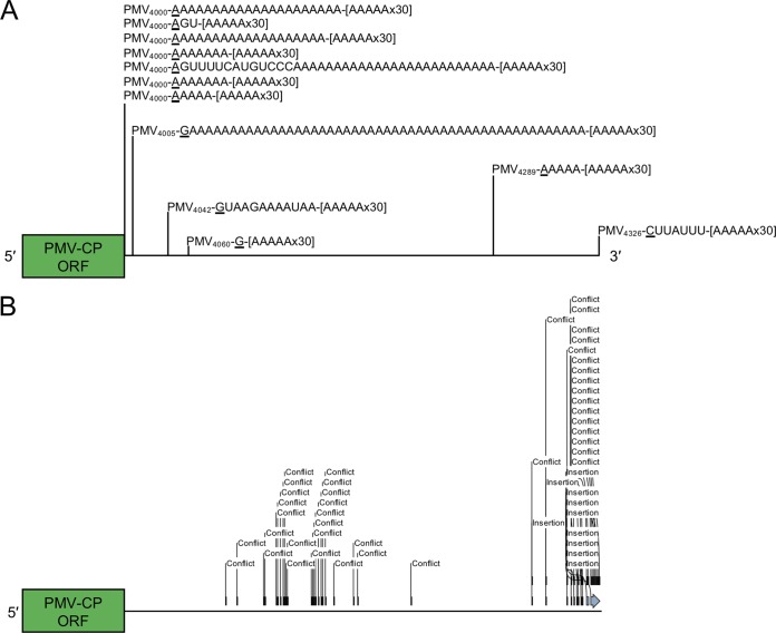 FIG 3