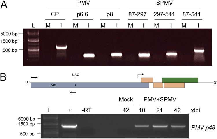 FIG 2